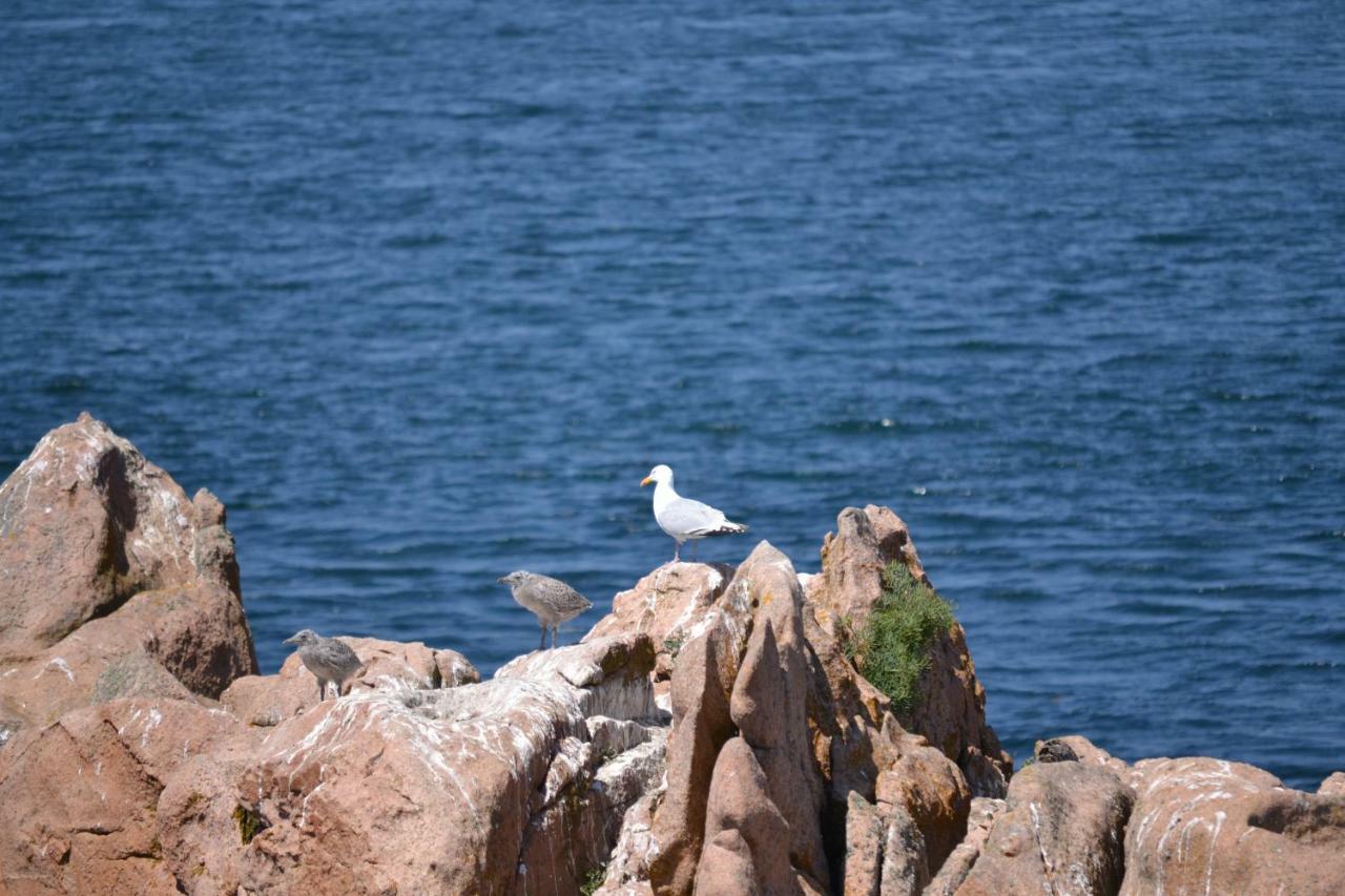 Gite Du Port Sur La Presqu'Ile De Lézardrieux Εξωτερικό φωτογραφία